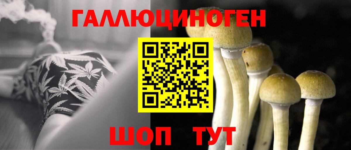 Псилоцибиновые грибы GOLDEN TEACHER  Вход с VPN  Югорск  Галлюциногенные грибы MAGIC MUSHROOMS 